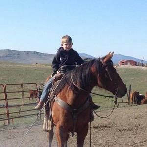 Meet your Posher, Ryle